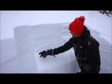 New snow and weak, sugary snow deeper in the snowpack, Skyland area, Flathead Range, March 16, 2016